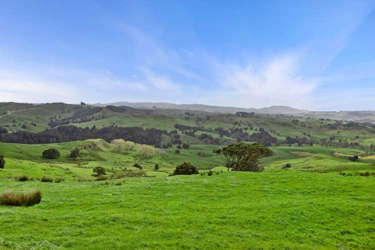 895 Wairamarama Onewhero Road Onewhero_15