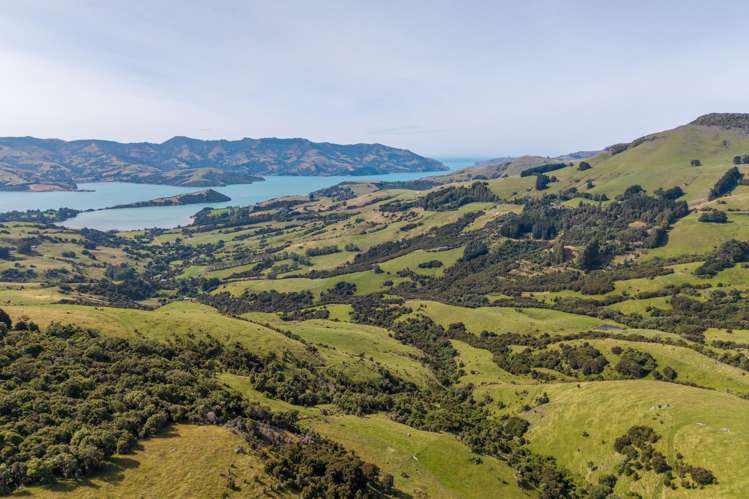 175 Barrys Bay Valley Road Barrys Bay_24