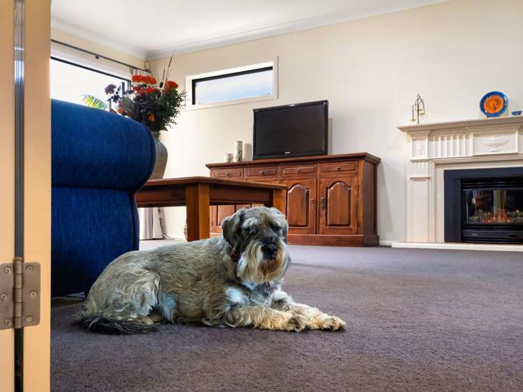 145 Oceanview Road Mt Maunganui_14
