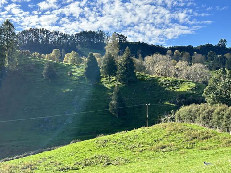 1/627 Waitomo Valley Road_5