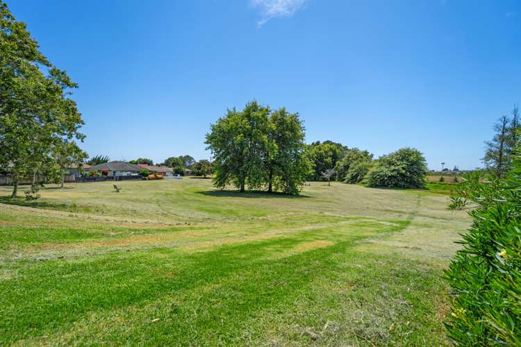 26b Plateau Heights Mount Maunganui_25