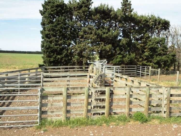 160 Millers Road Gebbies Valley_9