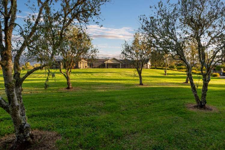 253 Horseshoe Bush Road Dairy Flat_34