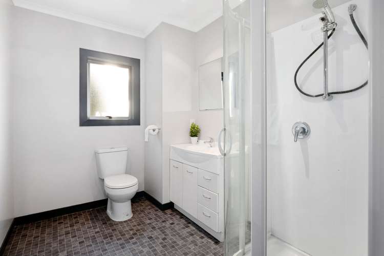 219 Larnach Road Waverley_14