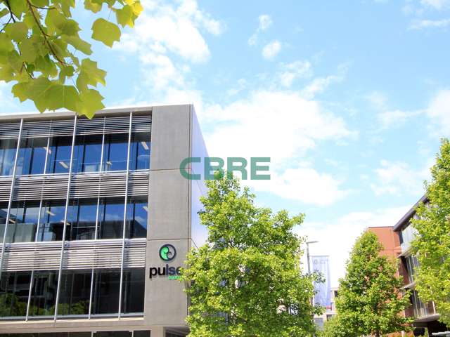 12 Nicholls Lane Parnell_4