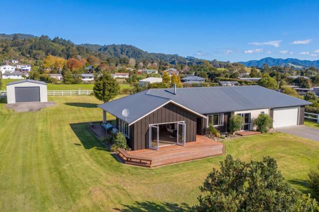 294 Albert Street Coromandel_4