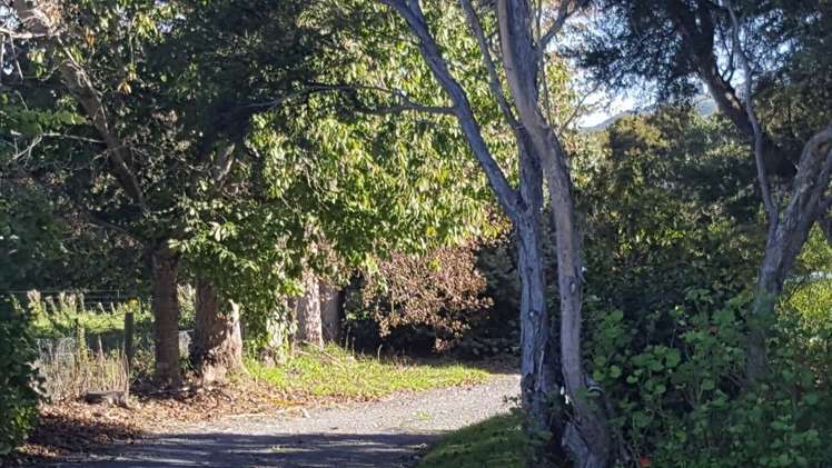 234 Parsons Road Hapuku_10