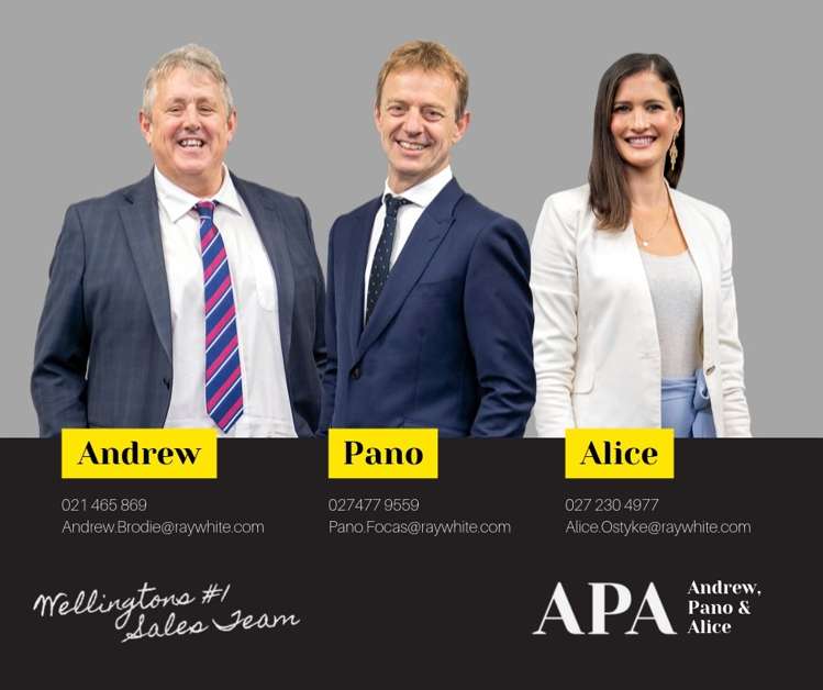 342 The Terrace Te Aro_18