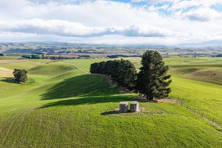 203 Robinson Road Cave_11