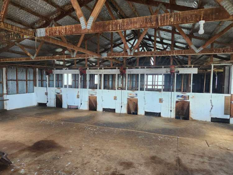 319 Ohautira Road Raglan_8