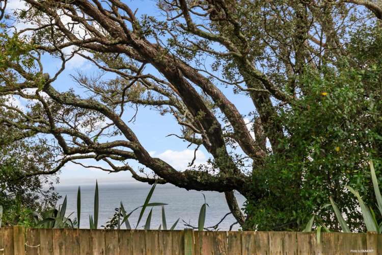 38 Sergeant Road Awhitu_12