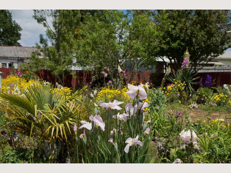 6 Plunket Street Raetihi_25