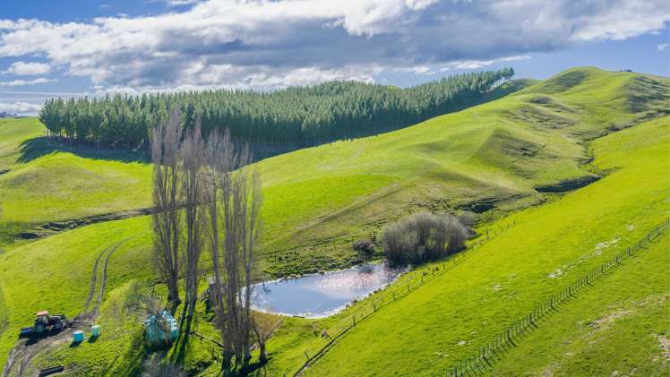 418 Tikokino Road Waipawa_8