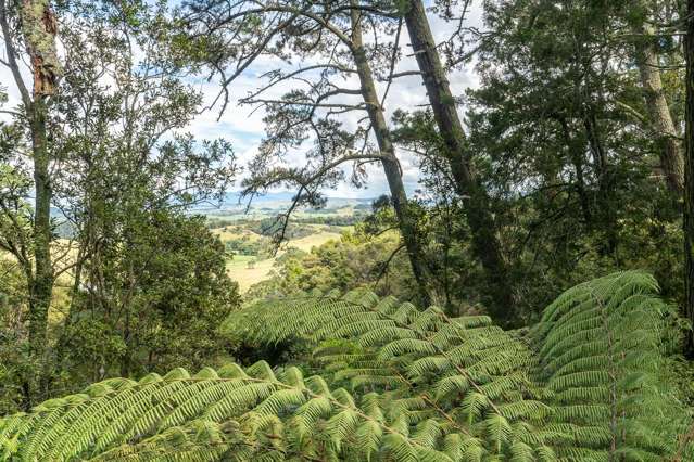 81A Waipa Heights Road Ngaruawahia_3