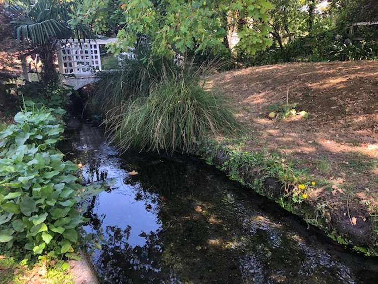 35 Essex Street Masterton_23