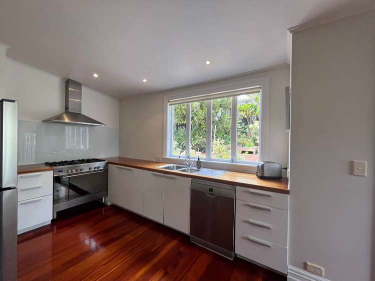 122 Williamson Avenue Grey Lynn_11