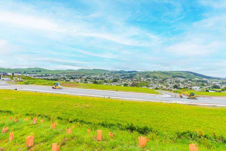 203 John Burke Drive Aotea_17