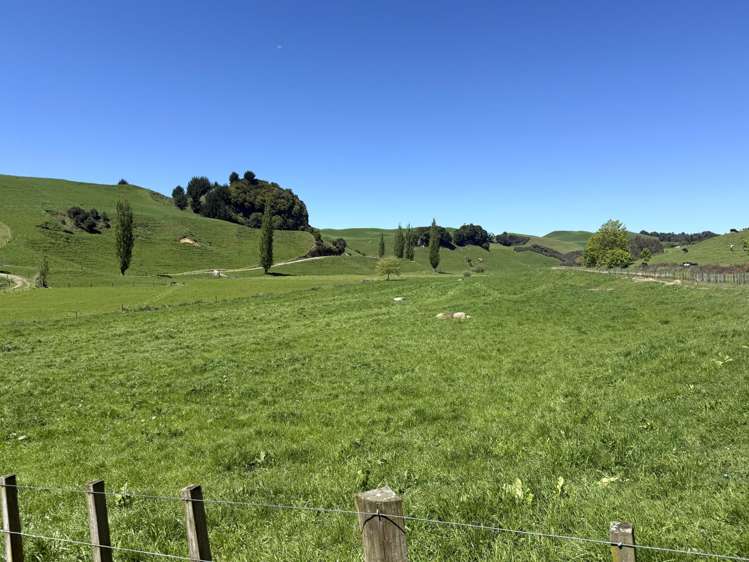 141 Puketirau Road Tirau_11