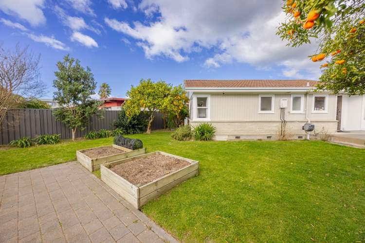 40 Southwark Avenue Tamatea_13