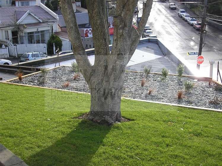 54 Heriot Row Dunedin Central_6