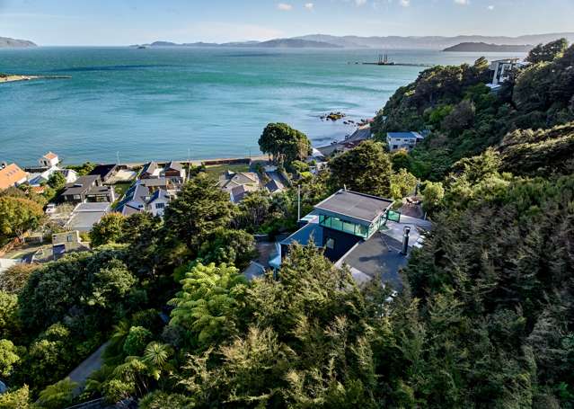 21 Dillon Street Lowry Bay_2