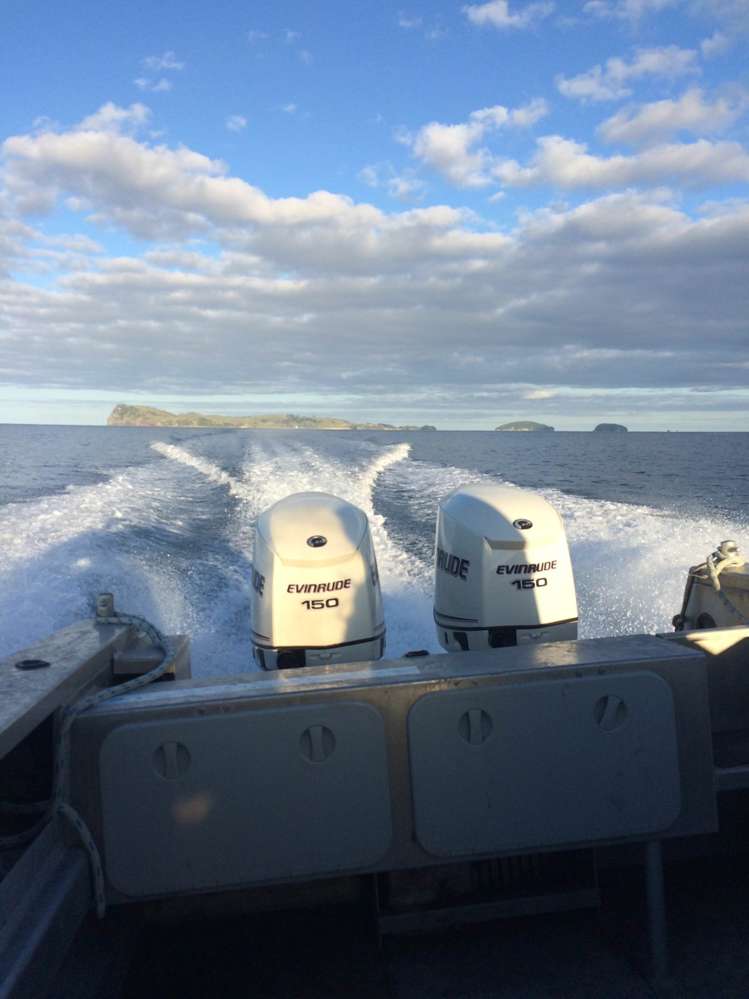 190 Pacific Ocean, Slipper Island (Whakahua) Thames_60