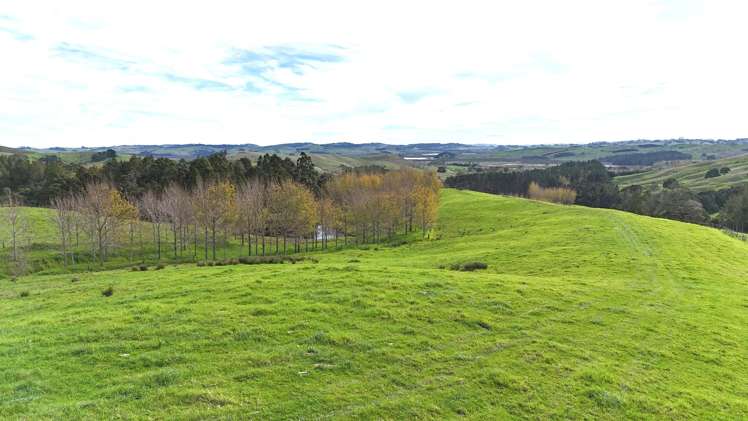 4062 Kaipara Coast Highway Tauhoa_22