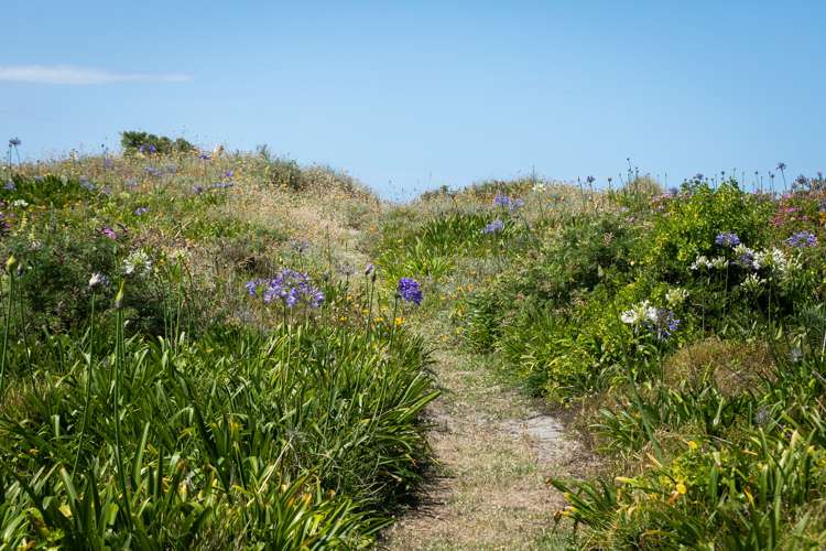 4 Ayr Street Waihi Beach_6