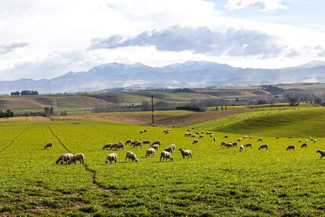 203 Robinson Road Cave_2