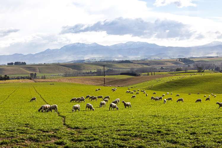 203 Robinson Road Cave_2