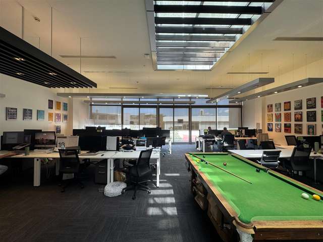 38 Ponsonby Road Grey Lynn_3