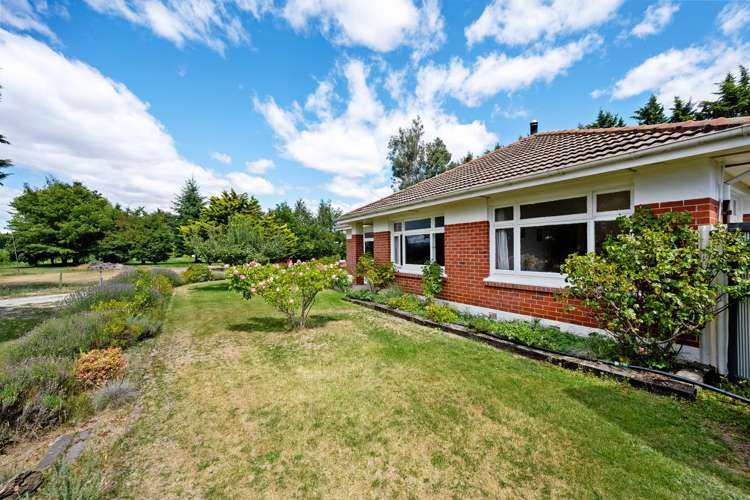 848 Earnscleugh Road Alexandra_16