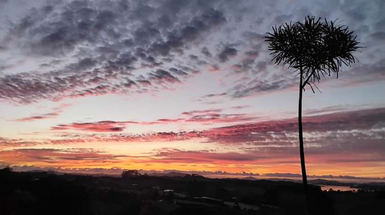 6 Waitete Heights Lane Kerikeri_31