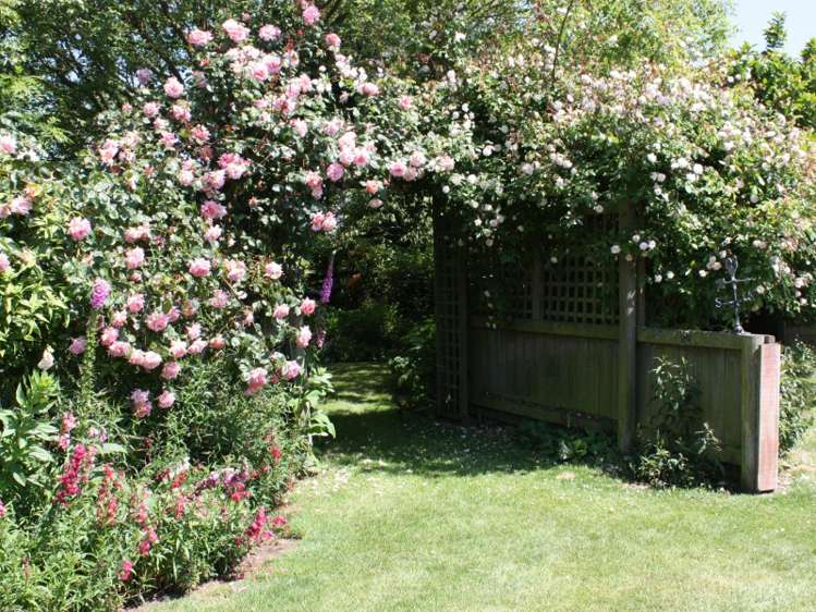 217 Pleasant Point Highway Levels_8