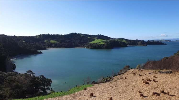 691 Orapiu Road Waiheke Island_8