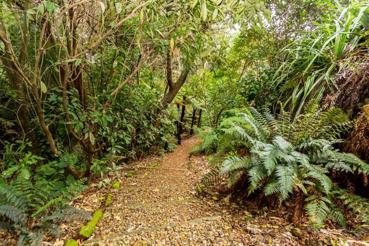 885 Governors Bay Road Te Rapaki-o-Te Rakiwhakaputa_11