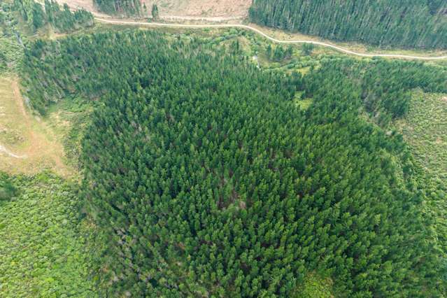 Te Moana Road Geraldine_3