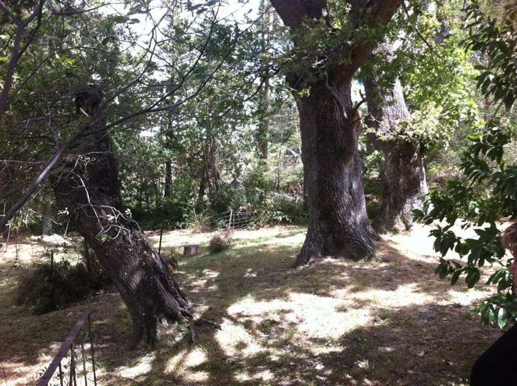 751 Bay Road Oxford_6