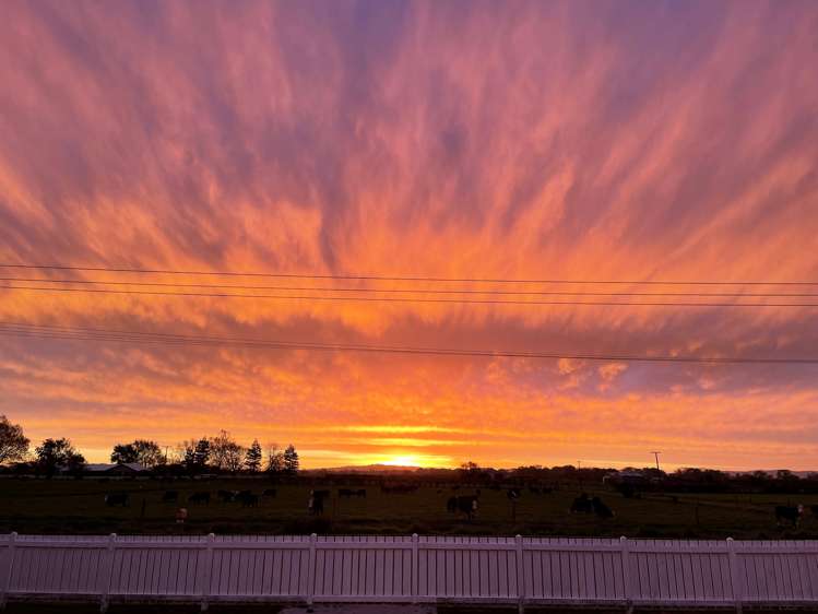 288 Gould Road Te Aroha_23