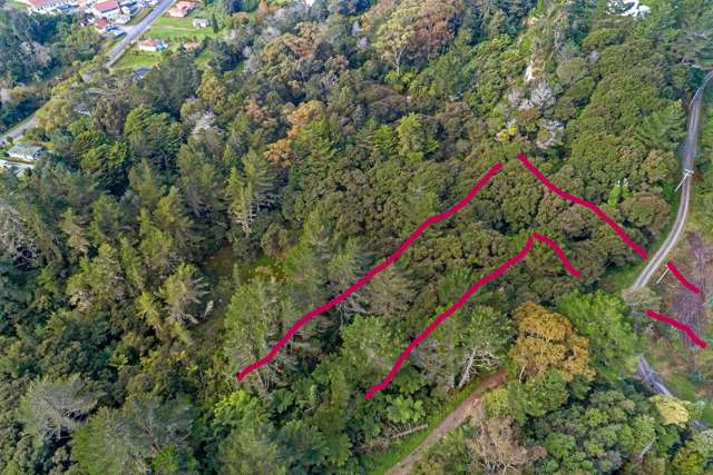 00 Carroll Street Te Puia Springs_3