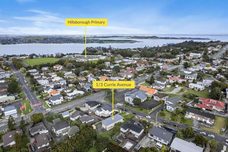 1/3 Currie Avenue Hillsborough_19