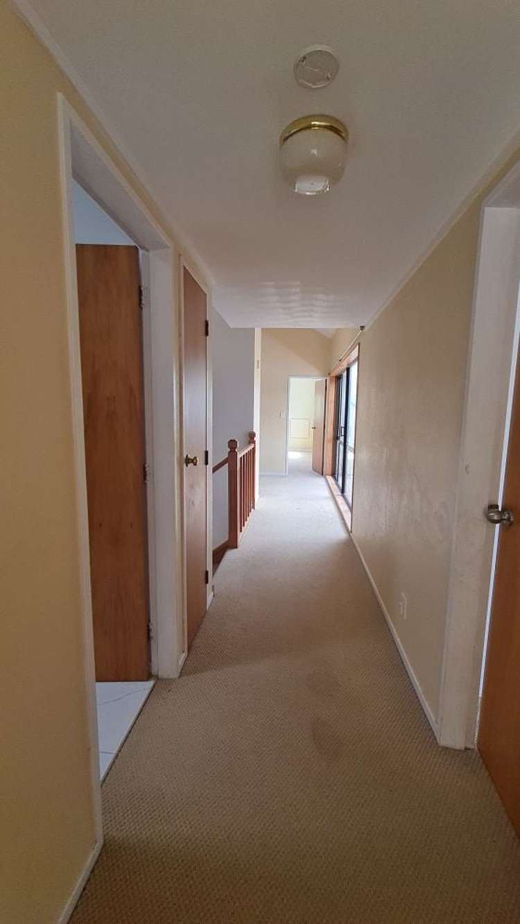 55 Erris Street Johnsonville_15