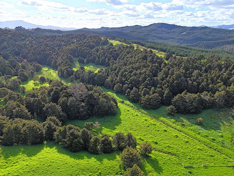 Ounuwhao Road Dargaville Surrounds_18