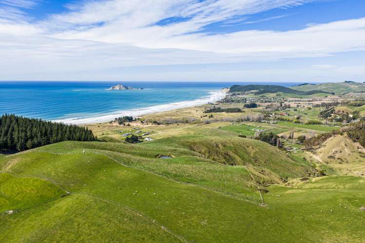 Lot 1 Waimarama Road Waimarama_10