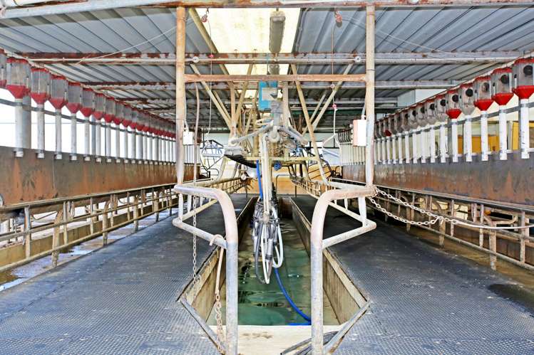 1047 Awhitu Road Pollok_17