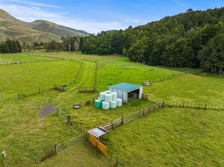 710 Sommerville Road Dargaville Surrounds_19