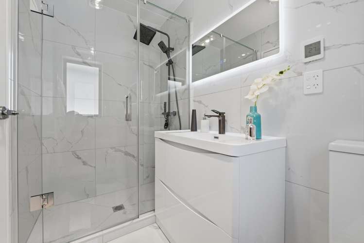 141A Seabrook Avenue New Lynn_9