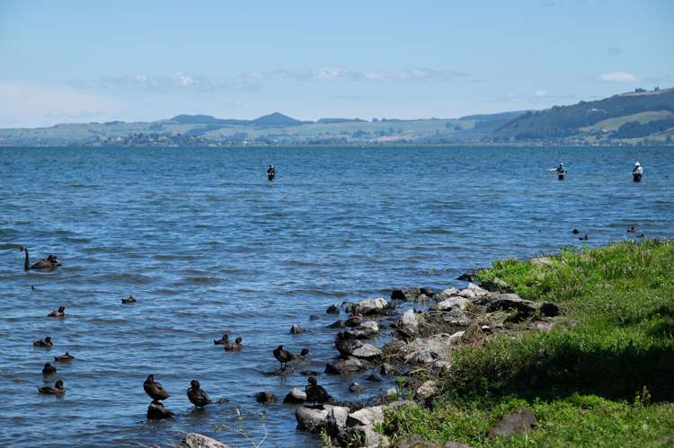 802 Hamurana Road Hamurana_62