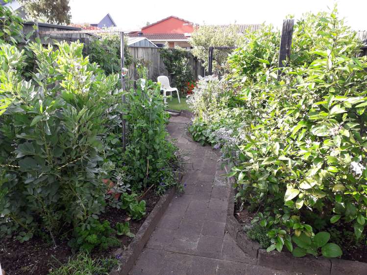 8a Carnot Street Glenholme_17