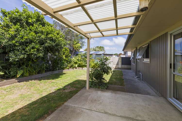 30 Ranfurly Street Tamatea_12